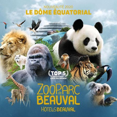 סנט-איגנן Le Chant Des Oiseaux, 3Km Du Zoo De Beauval, Parking Gratuit ,Wifi Et Netflix Gratuits מראה חיצוני תמונה