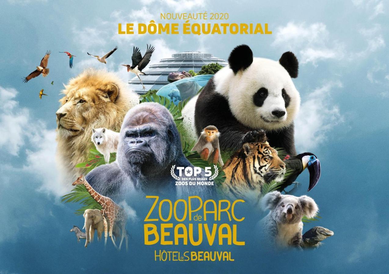 סנט-איגנן Le Chant Des Oiseaux, 3Km Du Zoo De Beauval, Parking Gratuit ,Wifi Et Netflix Gratuits מראה חיצוני תמונה